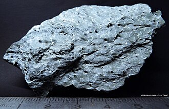 Xloritoid